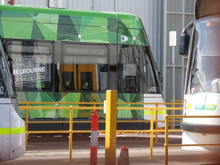 Yarra Trams Bombardier Flexity Swift Class E 6003